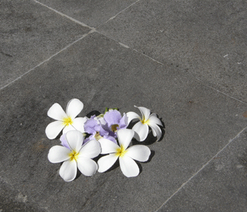Besser Block Centre's LAVA STONE pavers